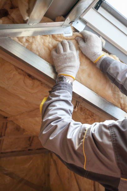 Best Spray Foam Insulation  in Bowman, ND