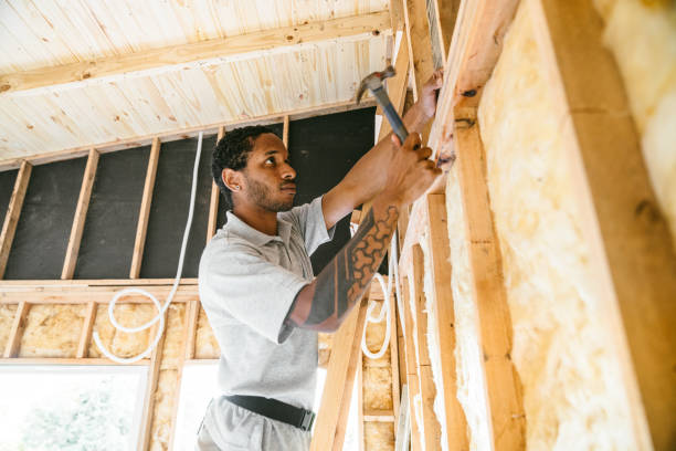 Best Insulation Contractors for Homes  in Bowman, ND