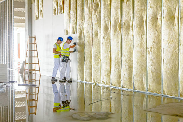 Soundproof Insulation Installation in Bowman, ND